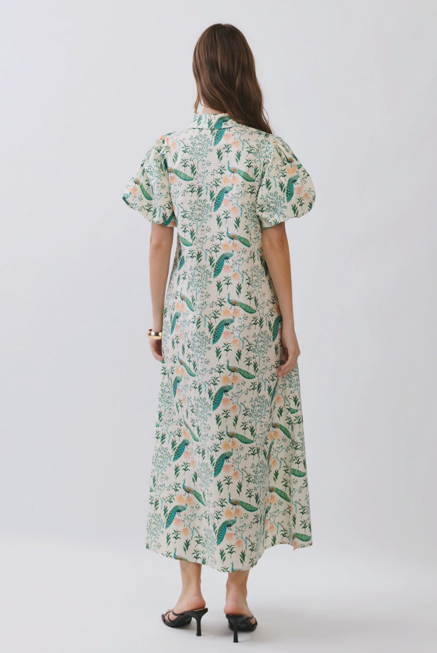 Penny Peacock Dress