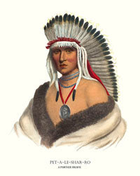 Chief Framed Print Collection
