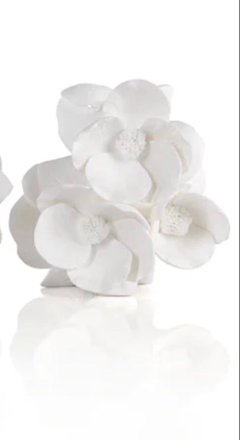 Cameo Porcelain Vases