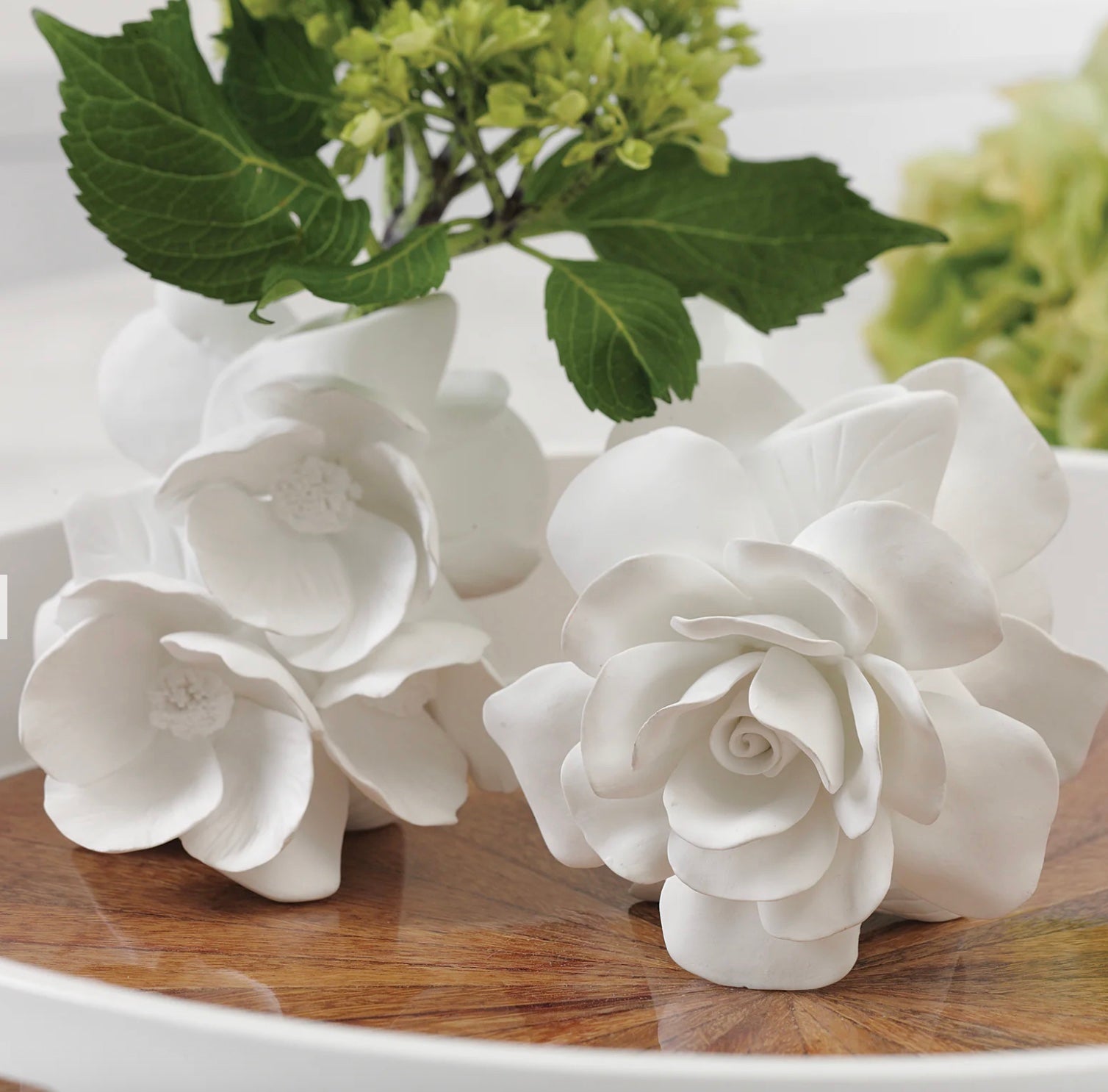 Cameo Porcelain Vases