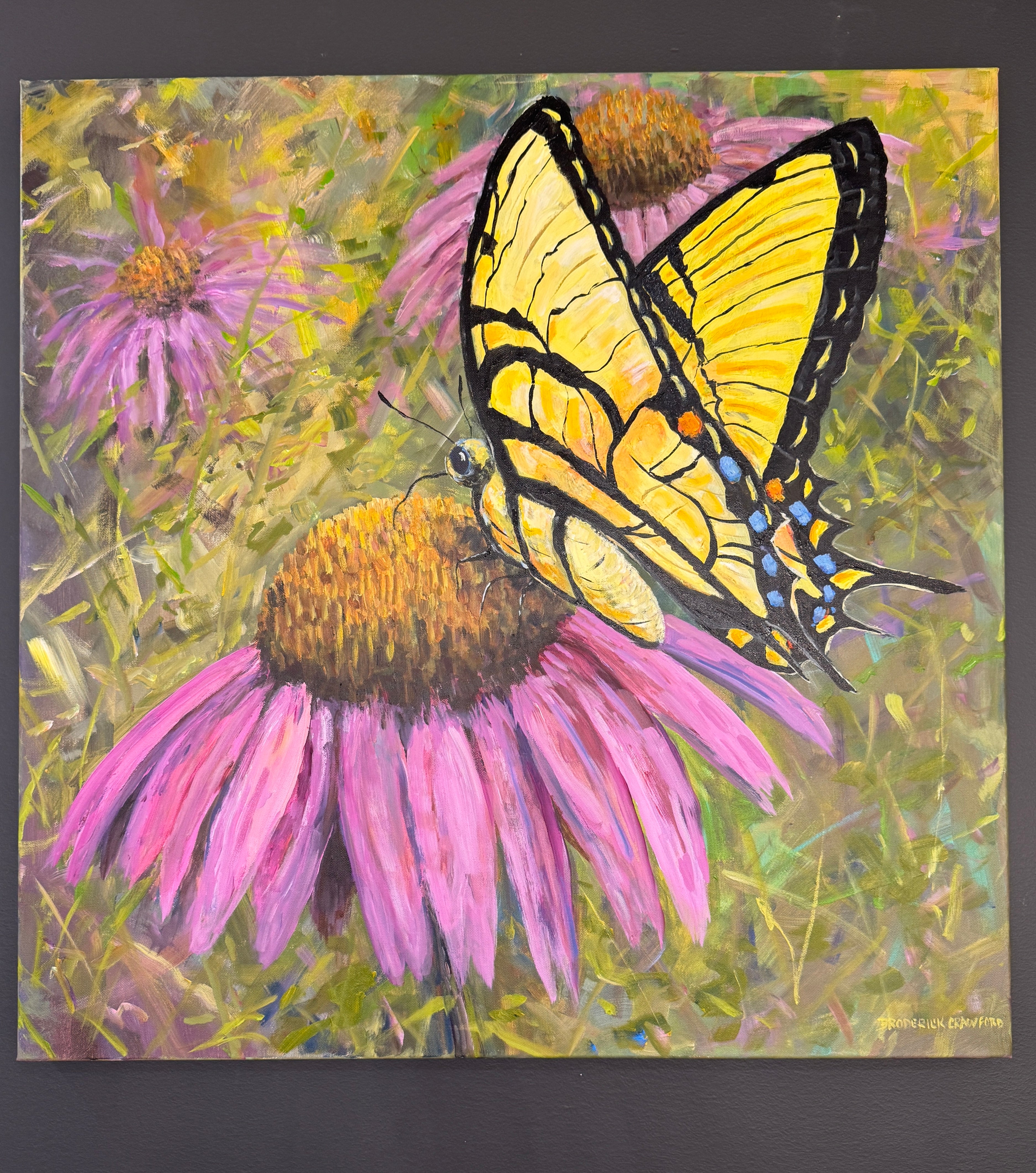Summer Beauties By Broderick Crawford