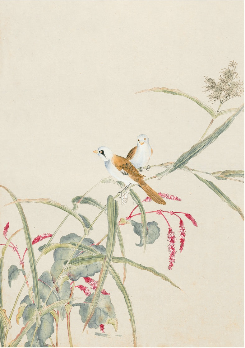 Japanese Birds Framed Print