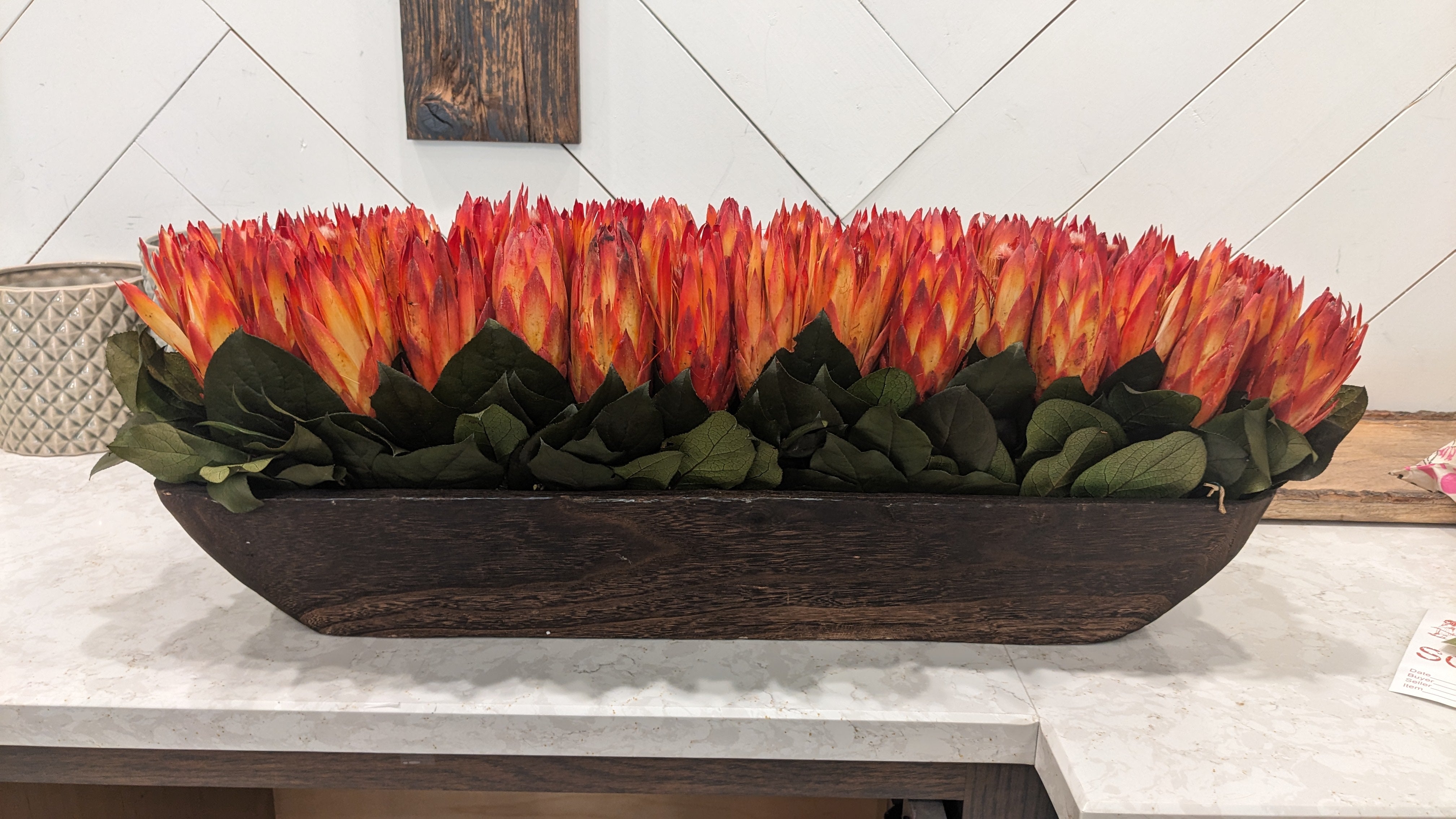 Protea Dried Floral Arrangement