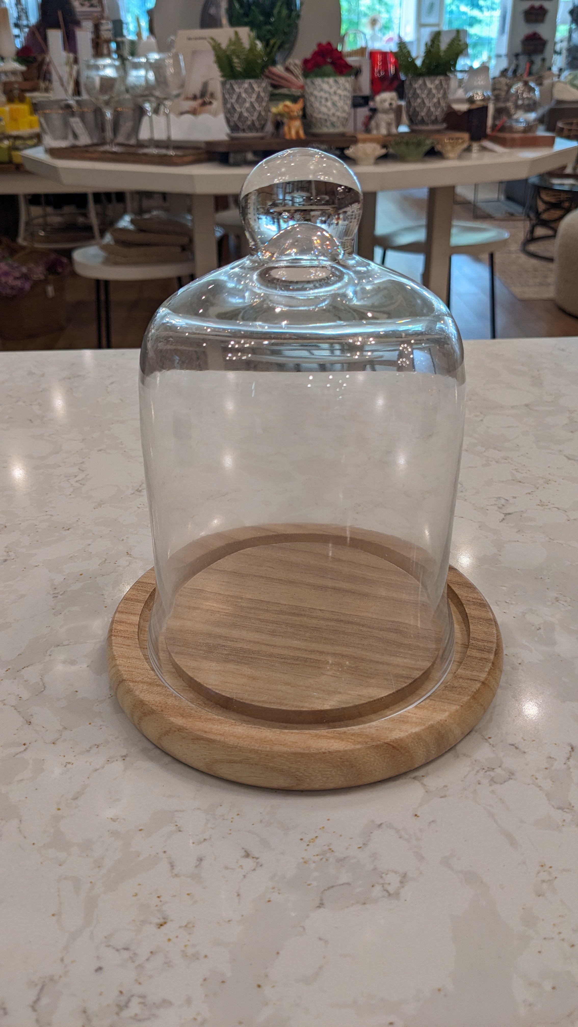 Glass Cloche with Wood Base