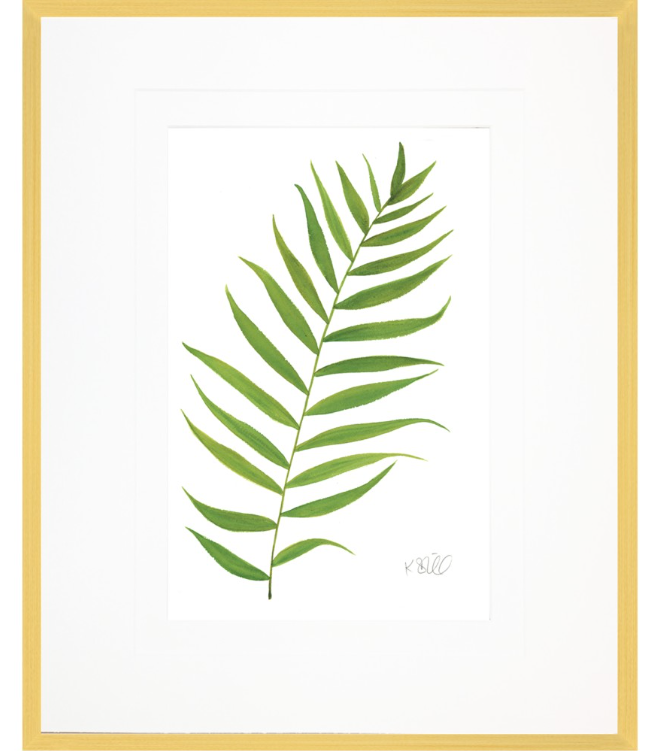 Palm Branch Collection