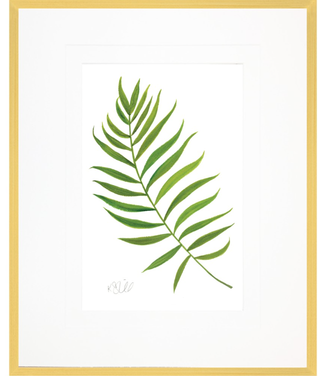 Palm Branch Collection