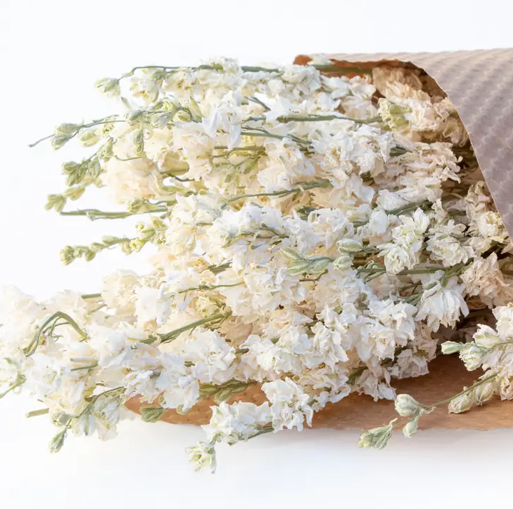 Dried Larkspur Flower Bundles