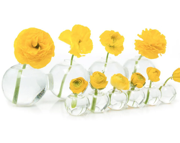 Caterpillar Vase