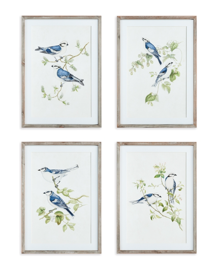 Blue Bird Framed Print