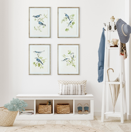 Blue Bird Framed Print