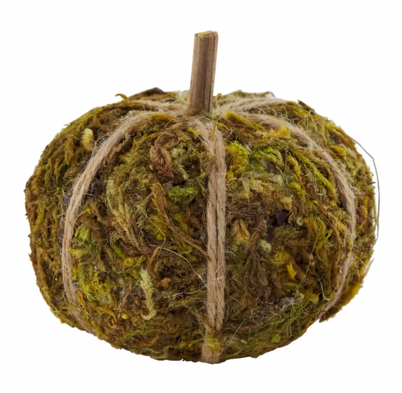 Mini Moss Pumpkin