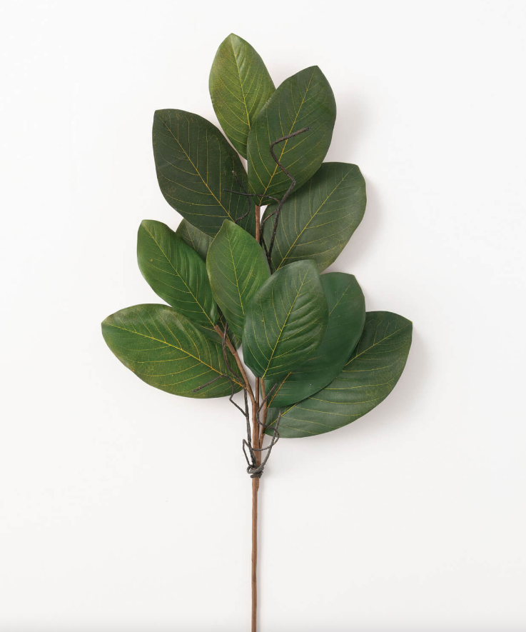 Magnolia Leaf Spray