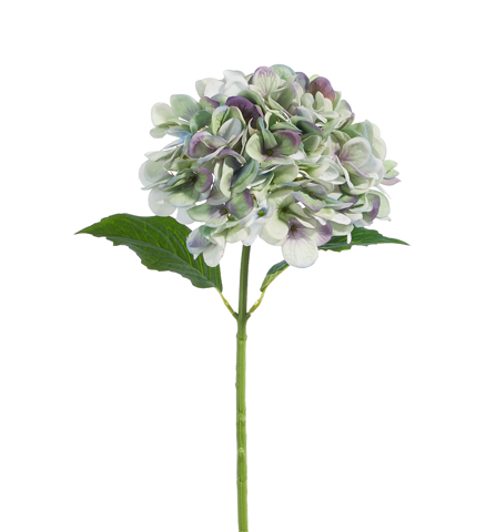 Real Touch Green and Purple Hydrangea Stem