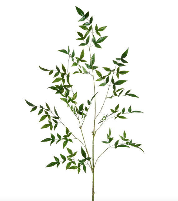 Green Leaf Branch