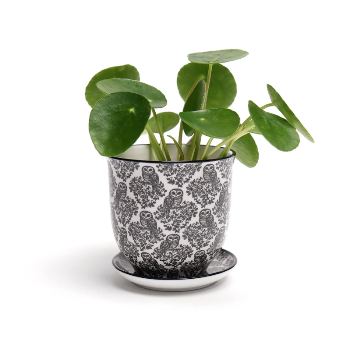 Liberte Porcelain Pot And Saucer Set