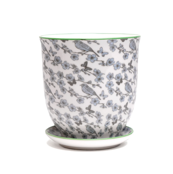 Liberte Porcelain Pot And Saucer Set