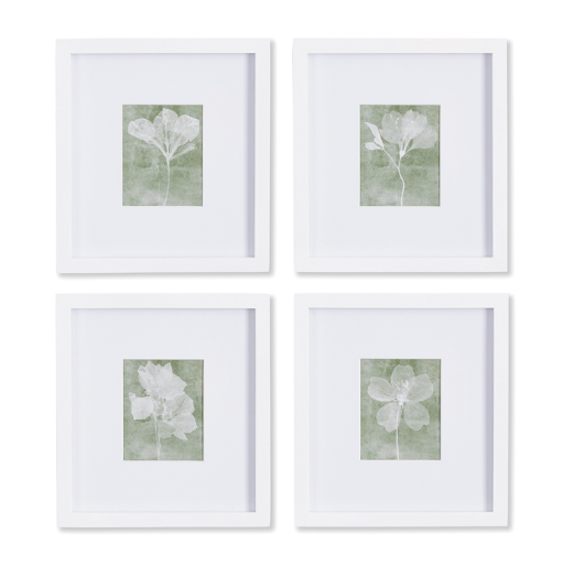 Petite Translucent Floral Prints