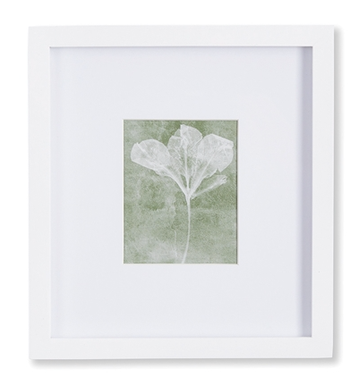 Petite Translucent Floral Prints