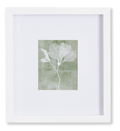 Petite Translucent Floral Prints