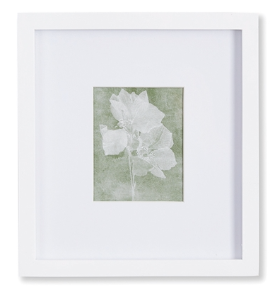 Petite Translucent Floral Prints