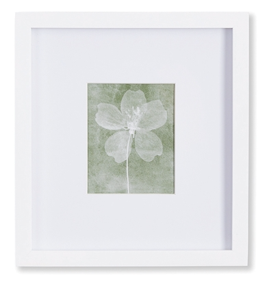 Petite Translucent Floral Prints