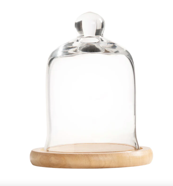 Glass Cloche with Wood Base