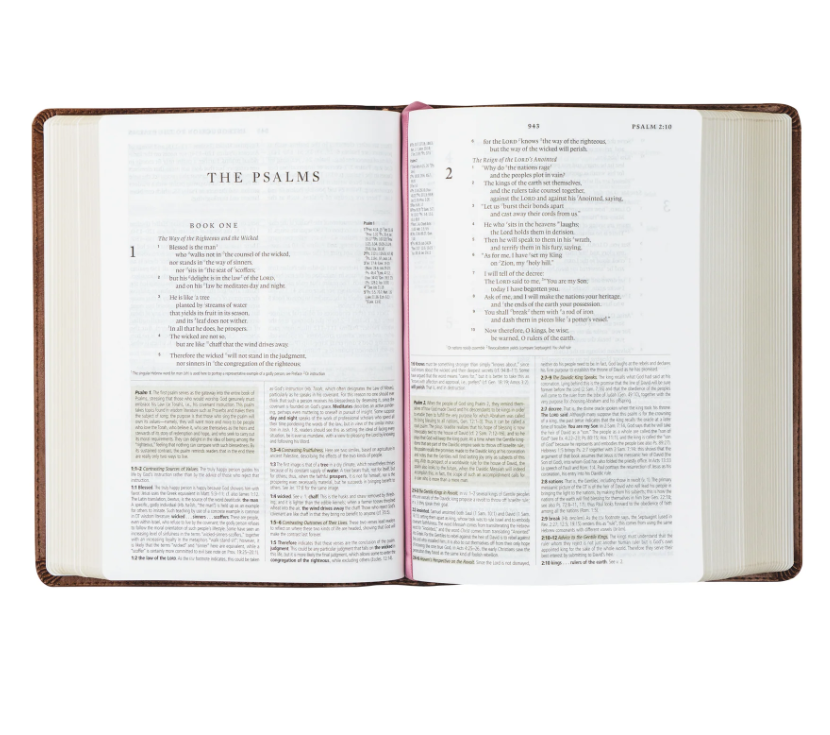 Hosanna Revival ESV Study Bible - Aurora
