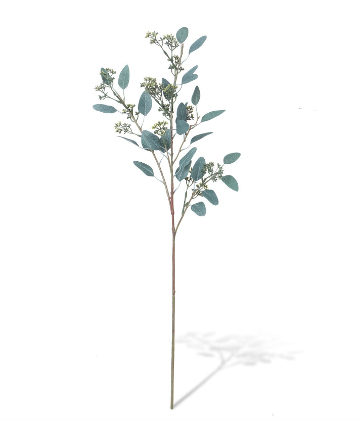 Seeded Eucalyptus Stem