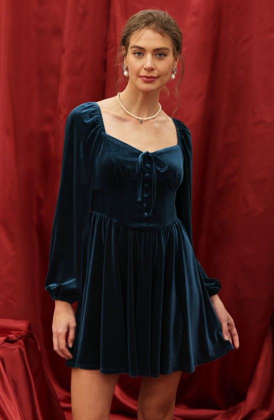 Ivy Velvet Button Down Tie Front Dress
