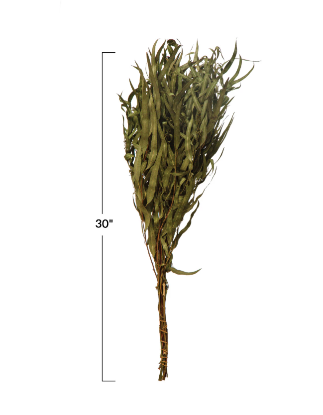 Dried Natural Eucalyptus