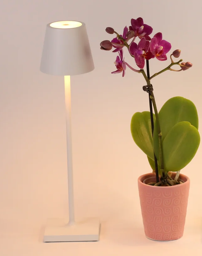 Poldina Pro Micro Touch LED Lamp - Final Sale 25% off in cart