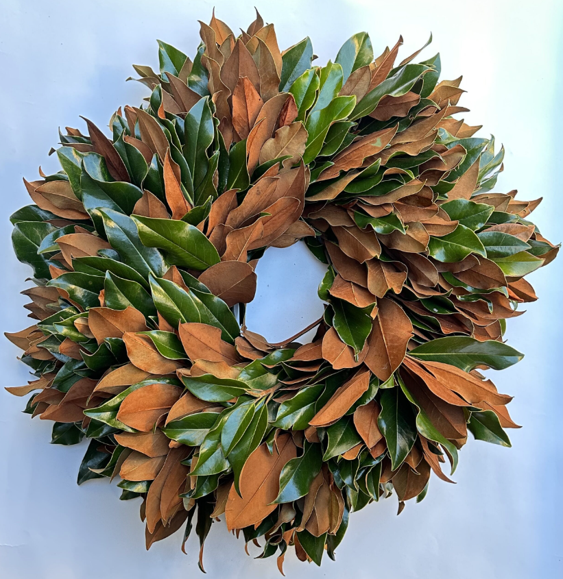 22" Dried Magnolia Wreath