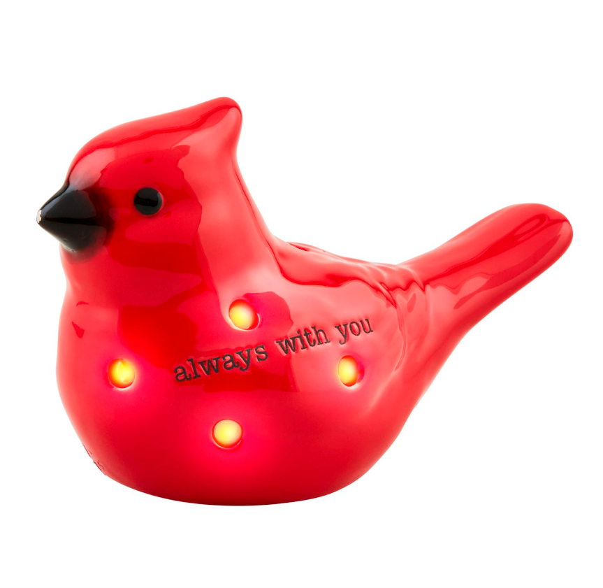 Cardinal Light Up Sitter