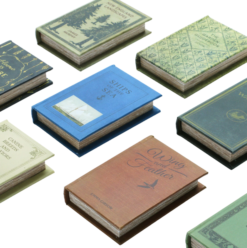 Mini Book Storage Box