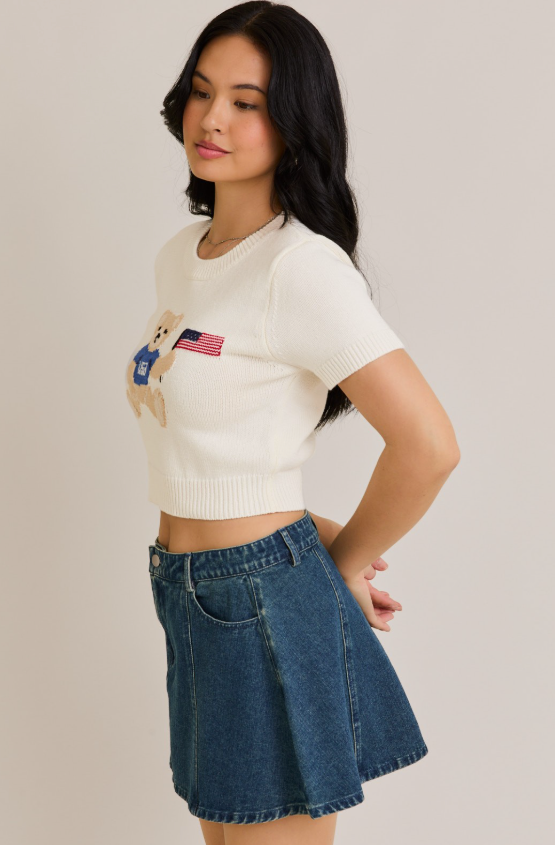 Teddy Bear With USA Flag Sweater Top