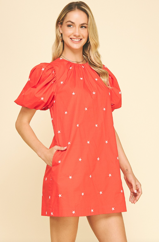 Payton Star Embroidered Mini Dress