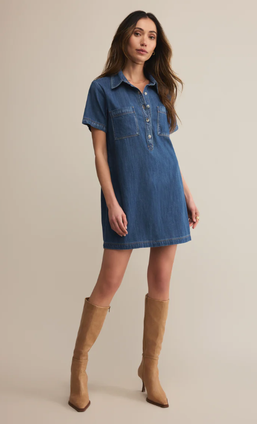Z Supply Kellie Denim Mini Dress