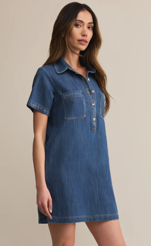 Z Supply Kellie Denim Mini Dress
