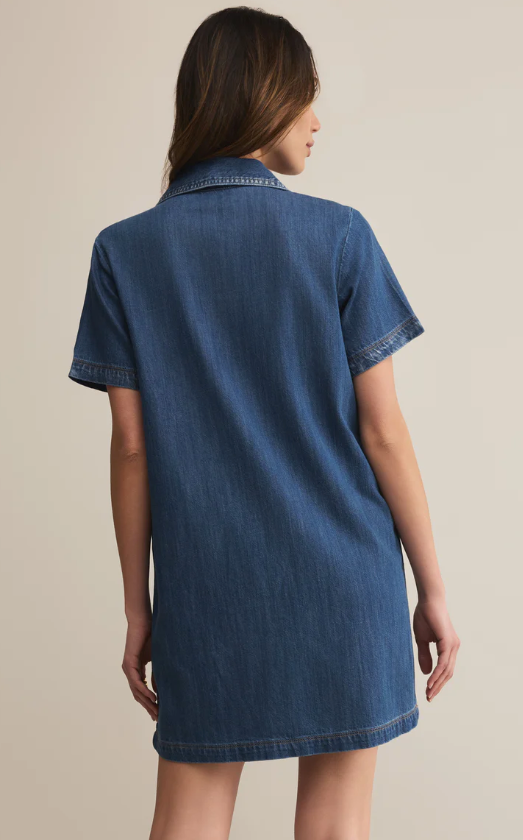 Z Supply Kellie Denim Mini Dress