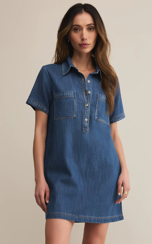 Z Supply Kellie Denim Mini Dress
