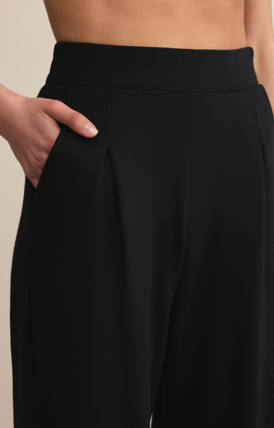 Z Supply Round Trip Pant