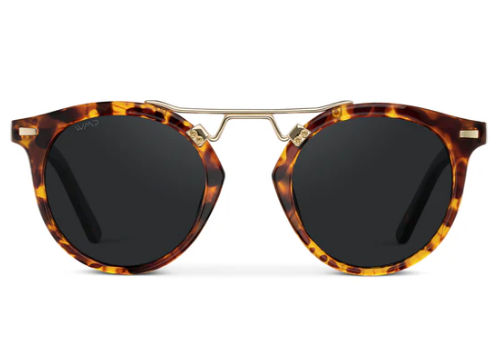WMP Eyewear Skylar Round Polarized Sunglasses
