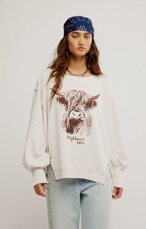 Free People Graphic Camden Pullover