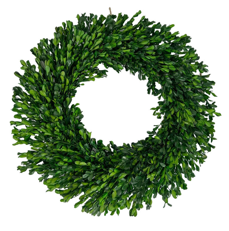 21" Naturally Preserved Boxwood Wreath