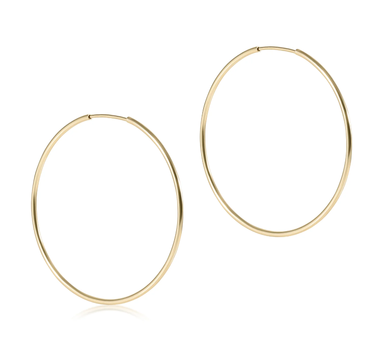 E Newton Endless Hoop