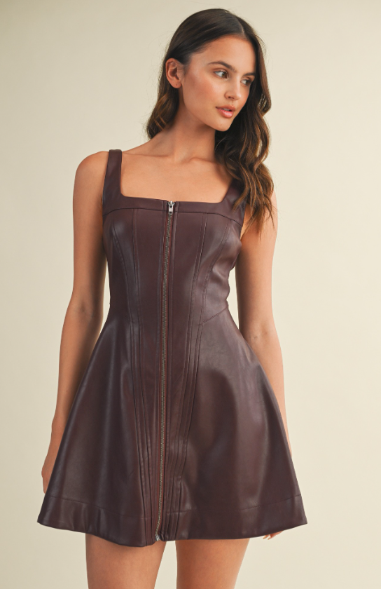 Lenora Zip Up Sleeveless Leather Dress