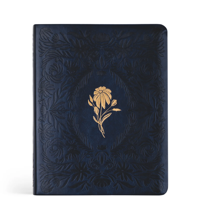 Hosanna Revival NLT Notetaking Bible - Versailles