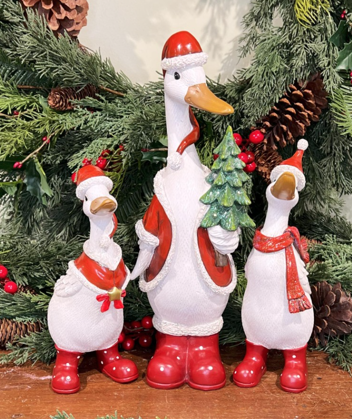 Charming Santa Duck