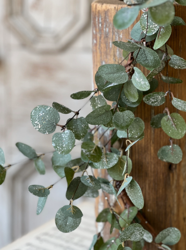 6' Frosted Eucalyptus Garland