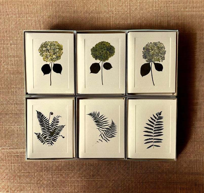 Assorted Botanical Notecards - Box of 6